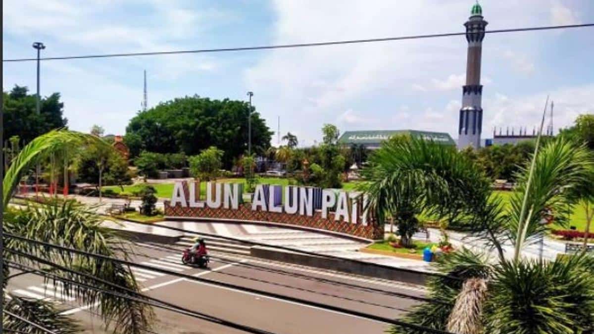 Web Developer Pati Terpercaya