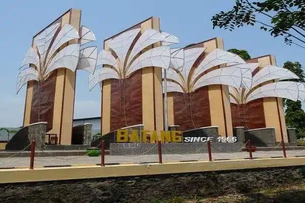 Jasa Pembuatan Website di Batang Professional