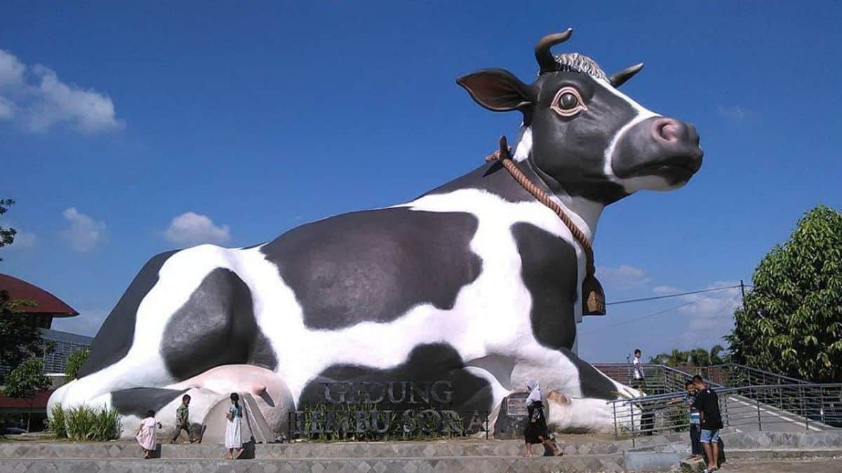 Jasa Pembuatan Website di Boyolali Professional